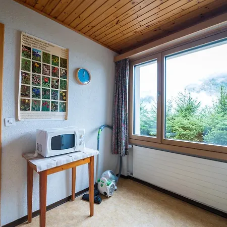 The Nadelgrat Apartment *