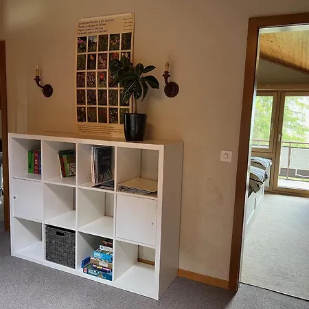 The Nadelgrat Apartment *